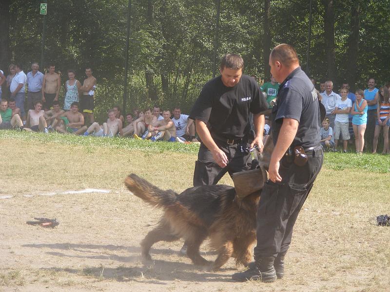 01.07.12r. FESTYN 129
